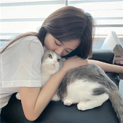 新·无仁义之战