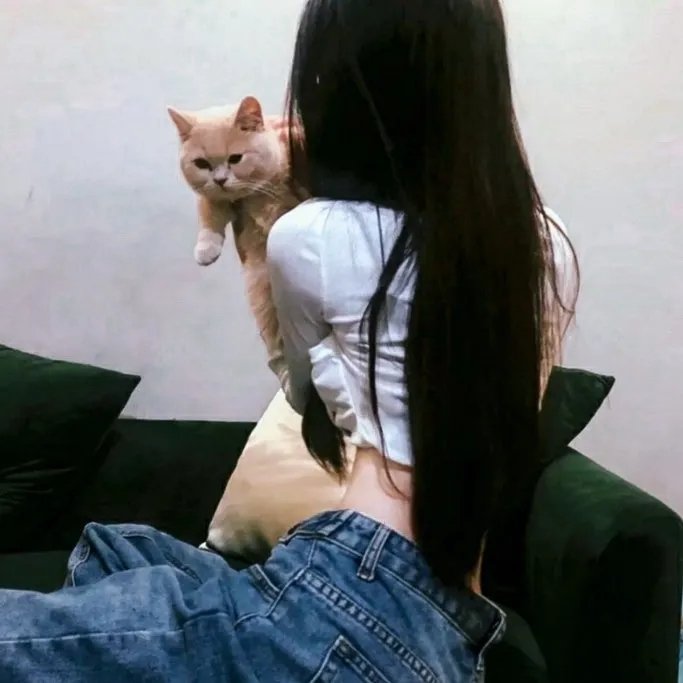 锈与骨