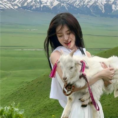 球场上的朝阳